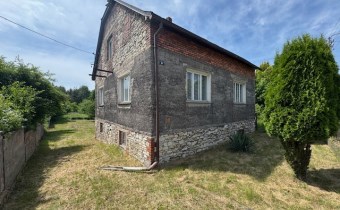 Jeleń-front