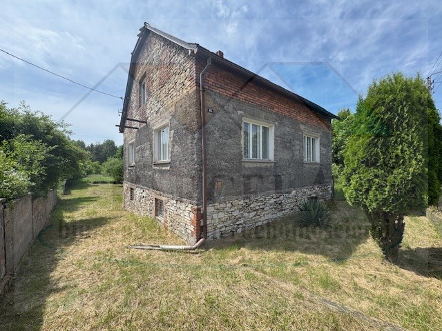 Jeleń-front